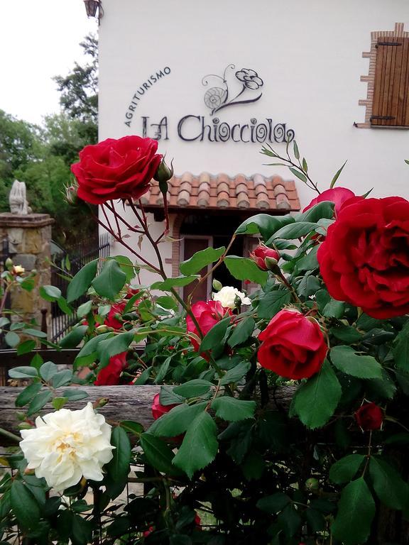 Agriturismo La Chiocciola Poggio Murella Exterior photo