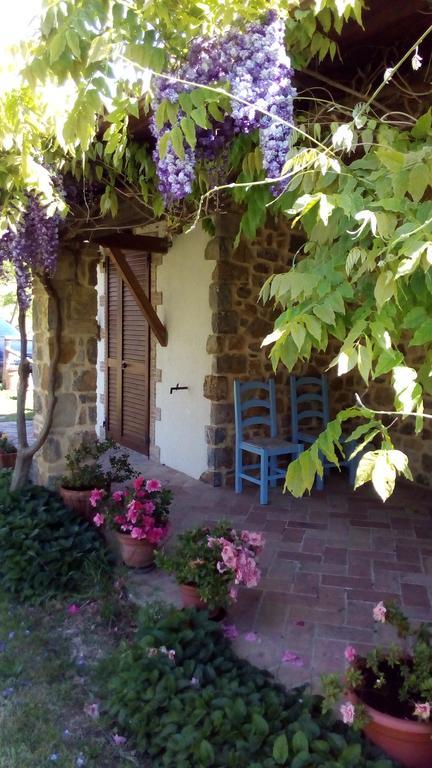 Agriturismo La Chiocciola Poggio Murella Exterior photo
